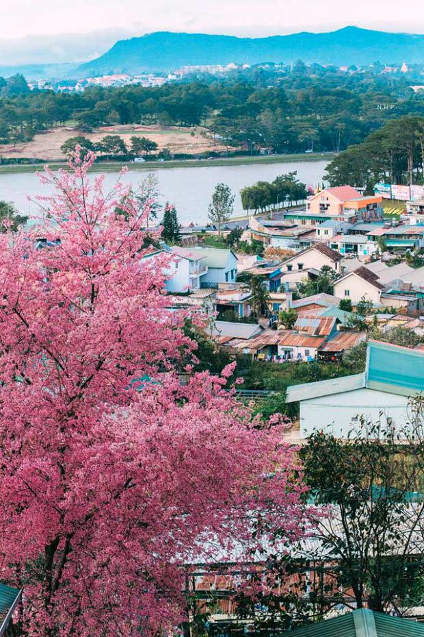 Kinh nghiệm du lịch Nha Trang - Đà Lạt 2