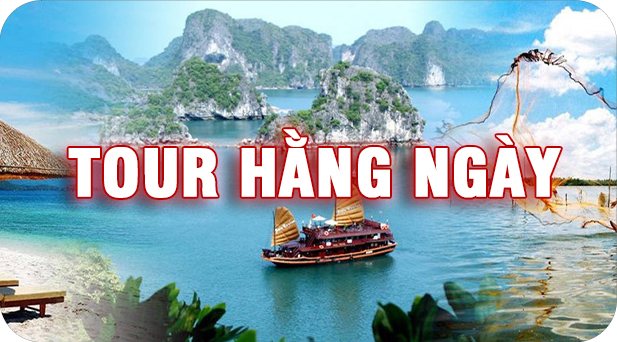 Tour hàng ngày